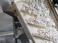 �������� ����������: � 2026 ���� � ������������� ���� �������� 9 ����������������� �����������